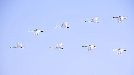 《边缘世界》“生物技术”资料片发布 上市宣传片赏